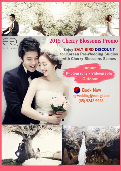 2015 Cherry Blossoms Promotion